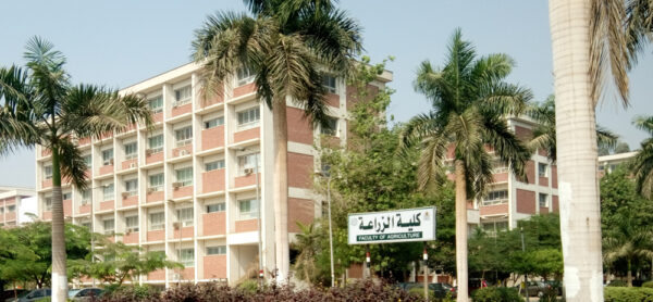 كلية الزراعة جامعة الأزهر فصول السادات النشأة والتأسيس
